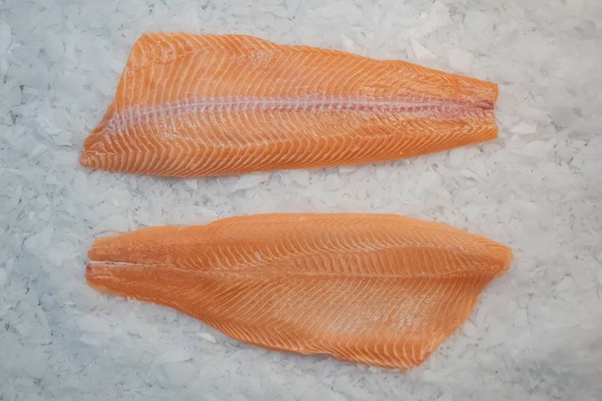 ALVAREZ Y ALVAREZ: PIONEERING SALMON PROCESSING IN CHILEAN PATAGONIA